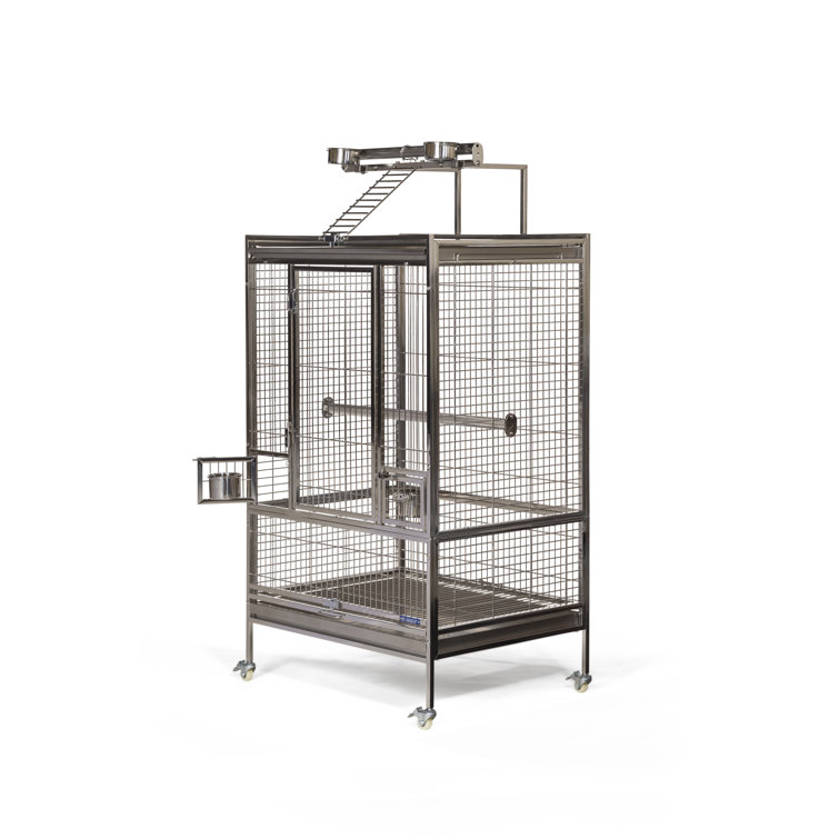 Tucker Murphy Pet™ Keeling Stainless Steel Play Top Bird Cage with Wheels/Casters & Reviews